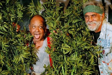 CHEECH AND CHONG Comedy Humor Marijuana Weed 420 Free Desktop ...