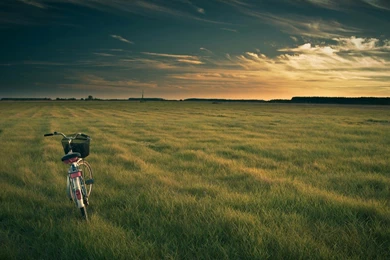 Health Hd Wallpaper, Free Wallpapers For Desktop