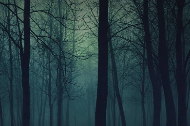 Samsung Mobile Phone Beautiful Wallpapers 503