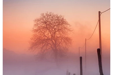 Samsung Mobile Phone Beautiful Wallpapers 513