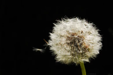 Desktop Wallpapers 2cb   HD Wallpapers