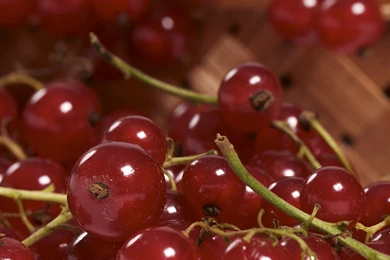 Cute Sweet Fruit iPad Air Wallpapers Download