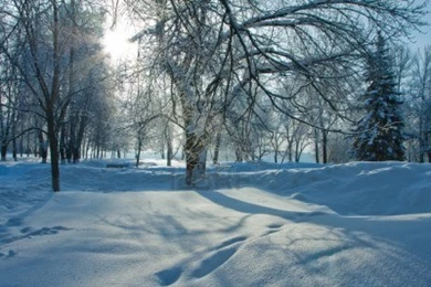 Winter Nature Wallpapers Desktop Images