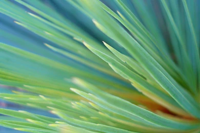 Dynamic Wallpapers For Iphone   Uncalke.com