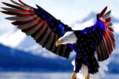 American Desktop Wallpapers