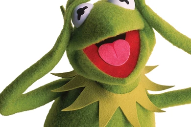 Kermit The Frog Hd Wallpaper Backgrounds