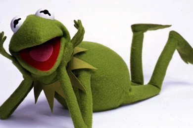 Kermit The Frog The Muppet Show Frogs Wallpapers   (