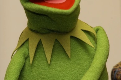 Kermit The Frog Kermit The Frog 2000x3000 Wallpapers – Frogs ...