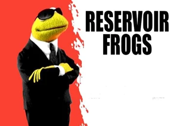 Photos Of Kermit The Frog