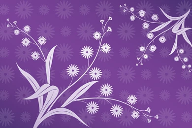 Plants   L   Lilium   Page 21