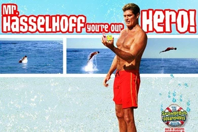 Spongebob Squarepants   Wallpapers With David Hasselhoff