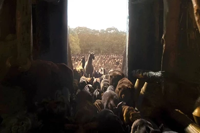 NOAH Adventure Drama Religion Movie Film Wallpapers