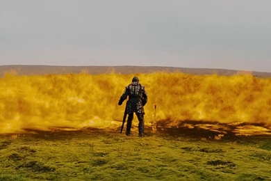 Noah: Dark And Weirdly Enjoyable