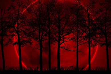 Red And Black Desktop Wallpaper Backgrounds