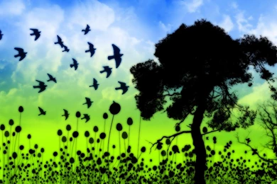 Good Night Funny Wallpapers Hd Pics Free Download And Best Quotes ...