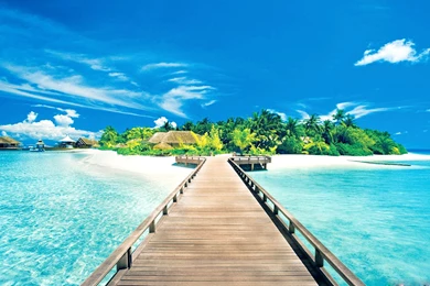 Summer Wallpapers High Quality