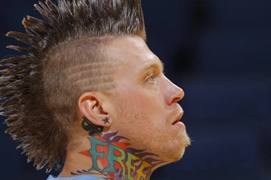 Chris Andersen Basketball HD