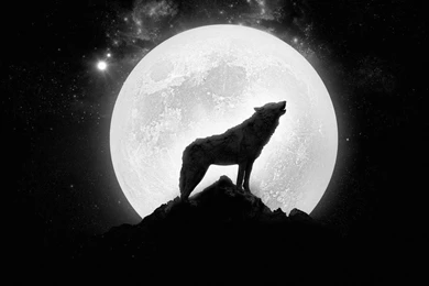 Image   Wolf howling at the full moon wallpaper.jpg   Unsolved ...