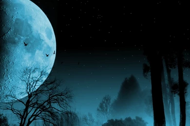 Wolf Moon Pictures   HD Wallpapers And Pictures
