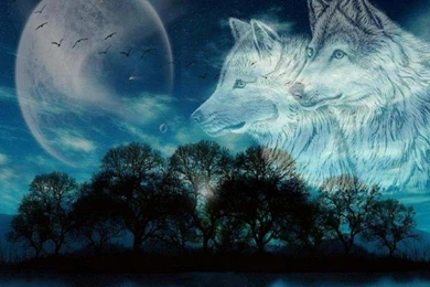 Wolf Moon Wallpapers   (