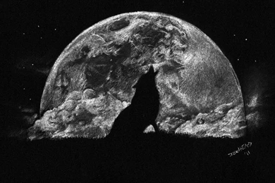 WOLF MOON WALLPAPER   (