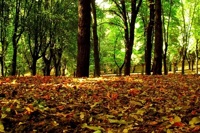 Wallpapers Surrealism Forums Share Your Desktop Page Free Phone ...