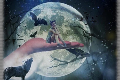 Wolf Moon Wallpapers   Android Apps On Google Play