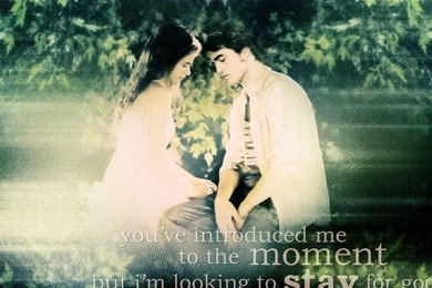 Edward And Bella Twilight 1 Wallpapers From Twilight Series Wallpapers