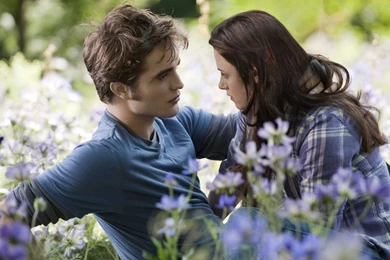 Top 12 Bella Dan Edward