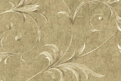 Light Brown White HAV40795 Ogee Acanthus Scroll Wallpapers ...