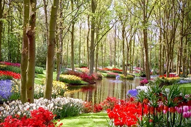 Free_desktop_wallpaper_flower_garden 004   HD Widescreen Wallpapers