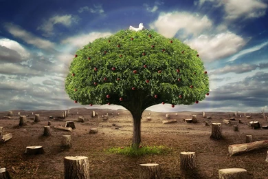 Wallpapers Download For PC HD Wallpapers Desktop Wallpapers ...