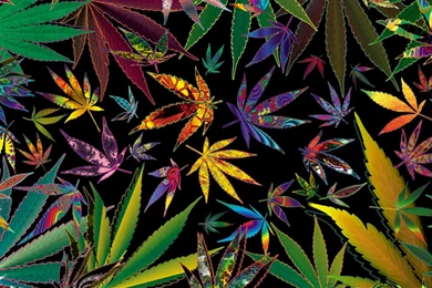 Weed Wallpapers