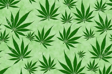 Top Free Pot Leaf Wallpapers Wallpapers