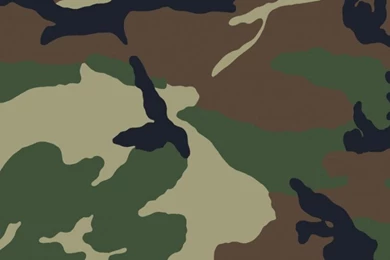 Camouflage iPhone 6 Wallpapers 2984   Other iPhone 6 Wallpapers ...