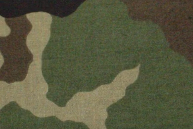 iPhone 5 Wallpapers (Woodland Camo Pattern Wallpapers For iPhone 5)