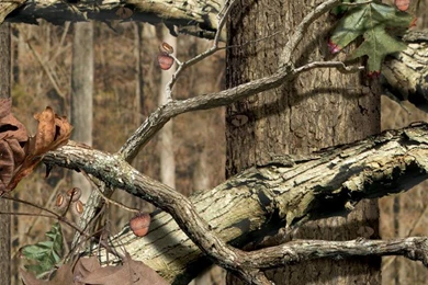 Mossy Oak Wallpapers Download