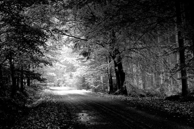 Road Nature Black And White HD Wallpapers For Your PC Desktop ...