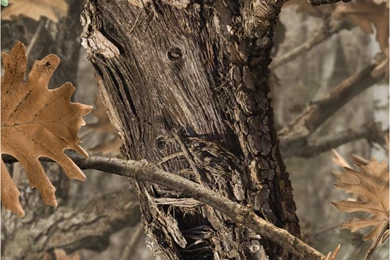 Apple Iphone 6+ Custom Skin Decal Cover Sticker Graphic