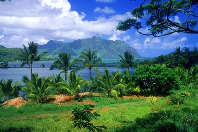Hawaii Wallpapers — Free Full HD Wallpaper. Widescreen HQ Desktop ...