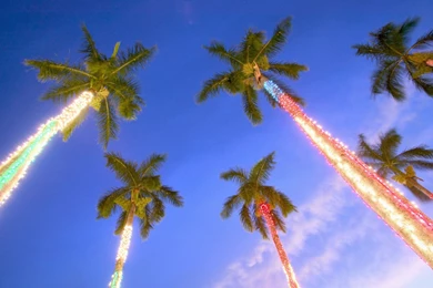 Hawaii Christmas Wallpapers » WallDevil   Best Free HD Desktop And ...