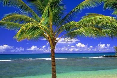 Free Wallpapers FWG112 – Wallpaperjosh