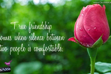 Wallpapers With Messages For Friends