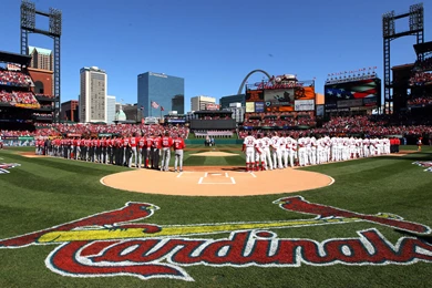 ST_ LOUIS CARDINALS Baseball Mlb F Wallpapers