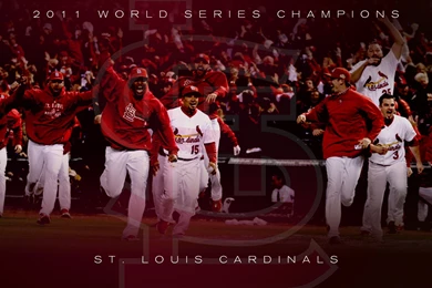 St Louis Cardinals Wallpapers