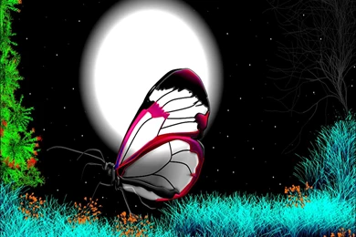 1440x1280 Mobile Phone Wallpapers Download   26   1440x1280 ...