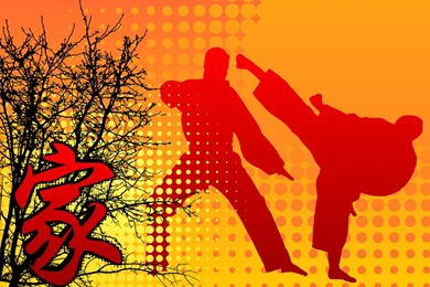 Martial Arts Backgrounds Vector Art & Graphics