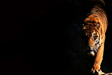 Stacia D. Kelly, PhD: Flavors.me