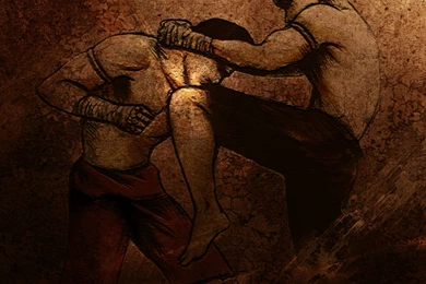 Martial Arts Computer Wallpapers, Desktop Backgrounds