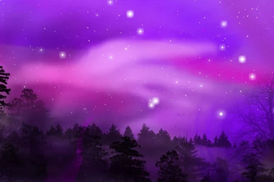 Purple Hearts Wallpapers 03, HD Desktop Wallpapers